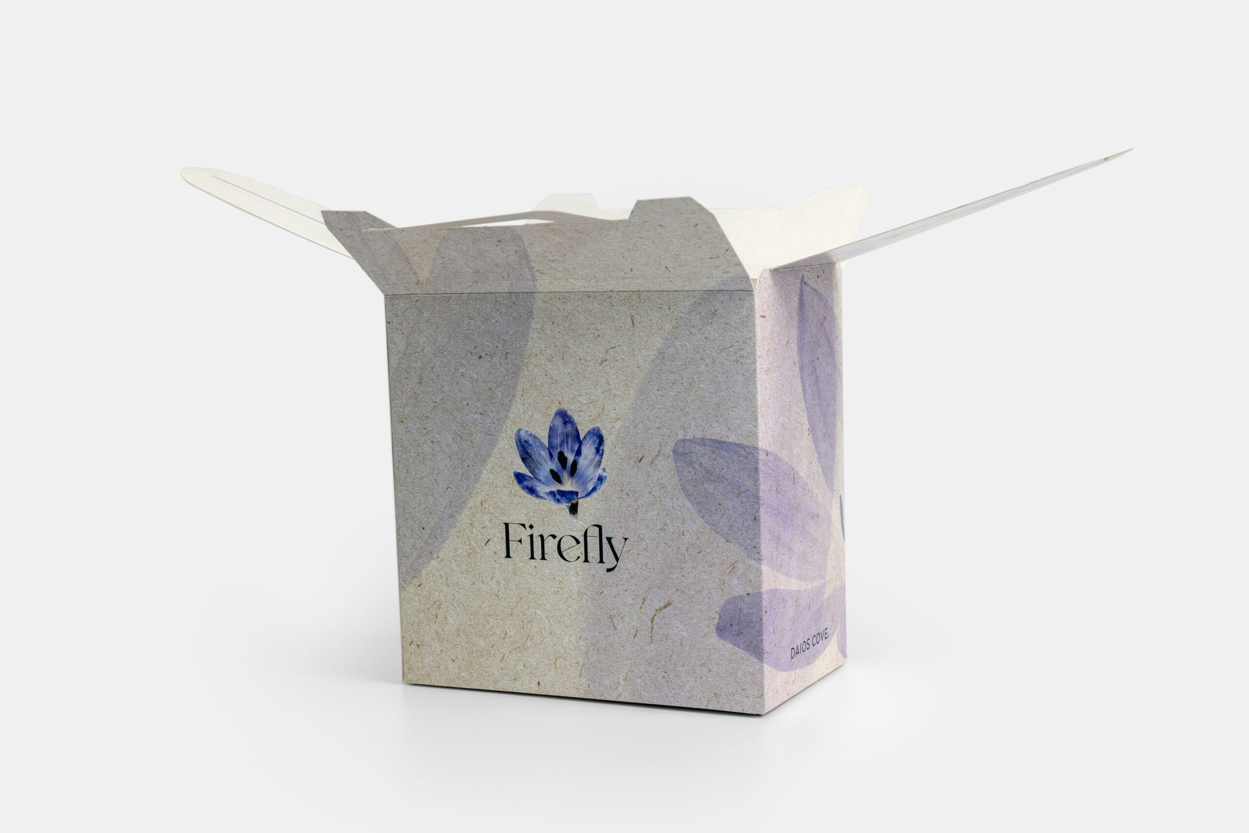 lunch box firefly daios cove