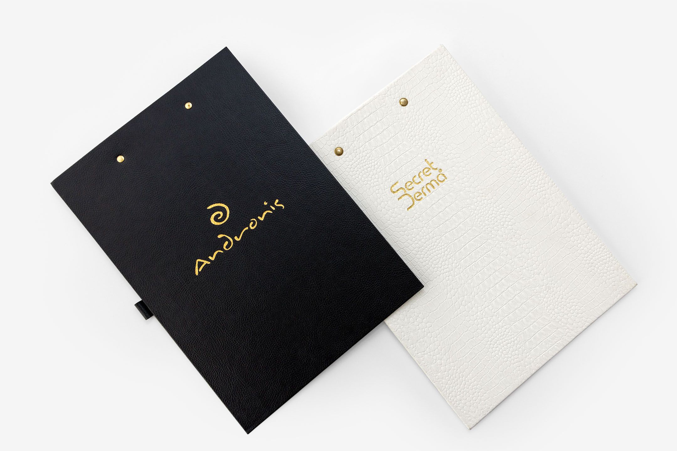 seminar board andronis