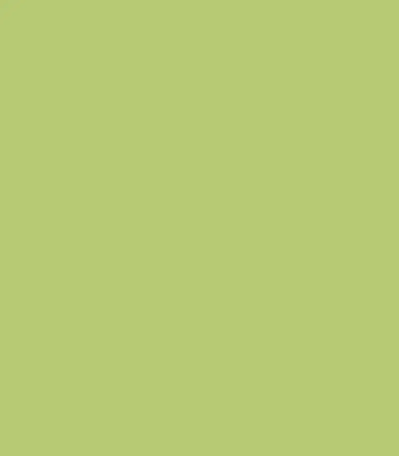 B2CA65
