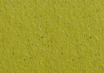 BIO CYCLE CHLOROPHYLL