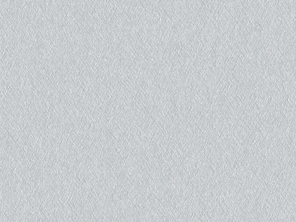 CMD64538 BRIGHT SILVER