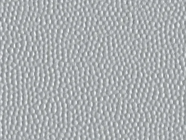 CMD64540 BRIGHT SILVER