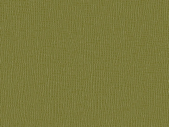 EPF64036-OLIVE