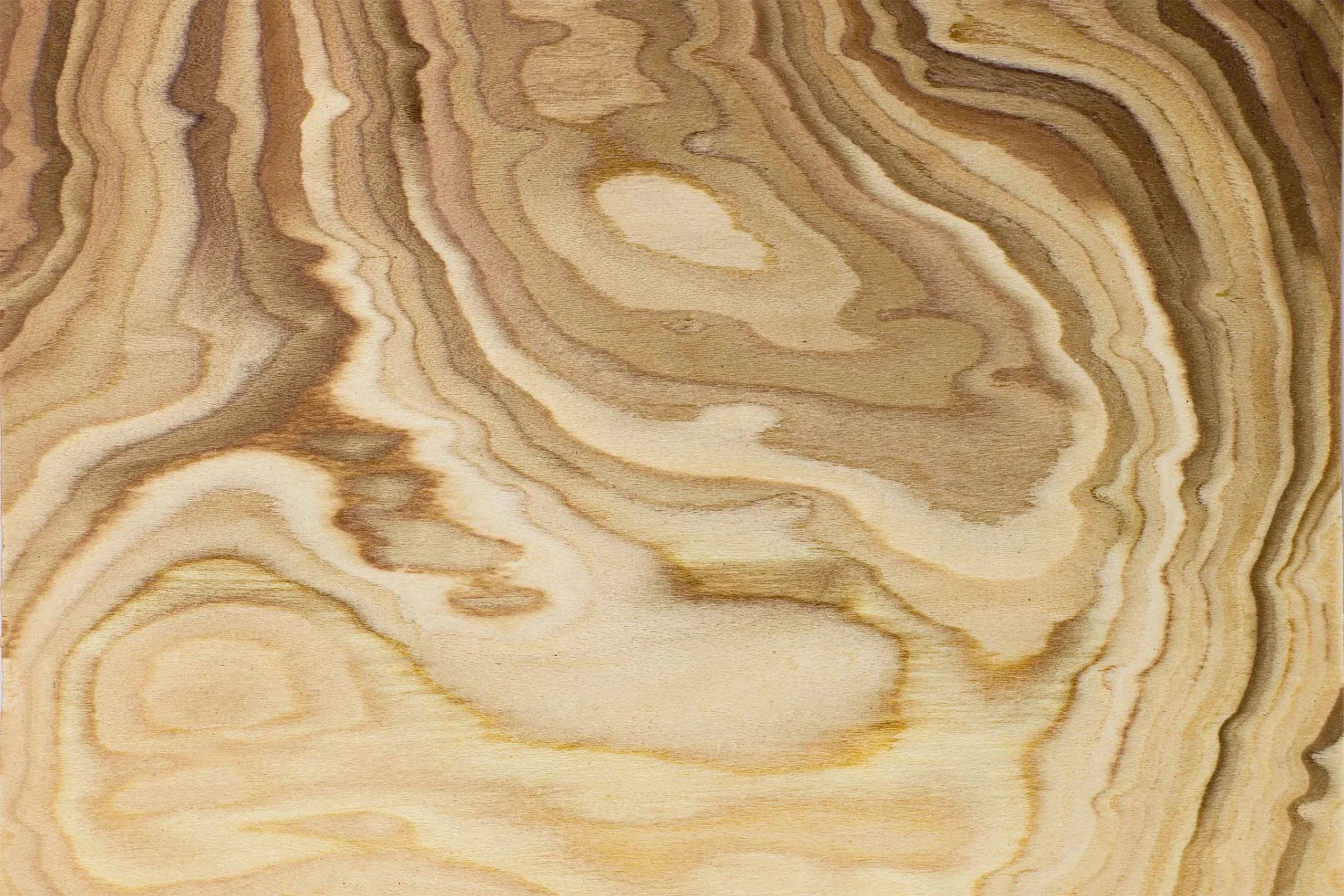 NW-VG-ΡΙΖΑ OLIVE1143