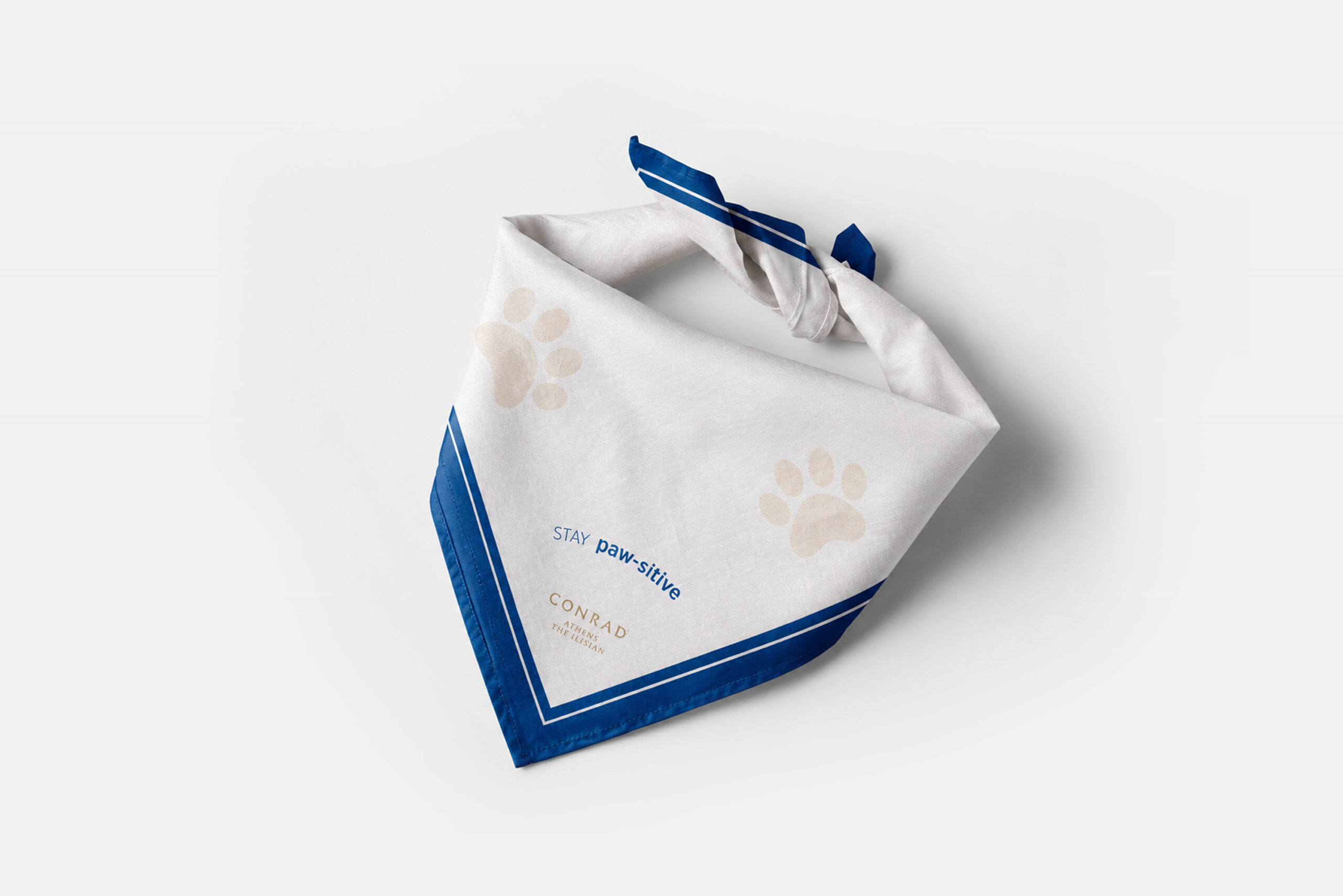 conrad dog bandana jpg