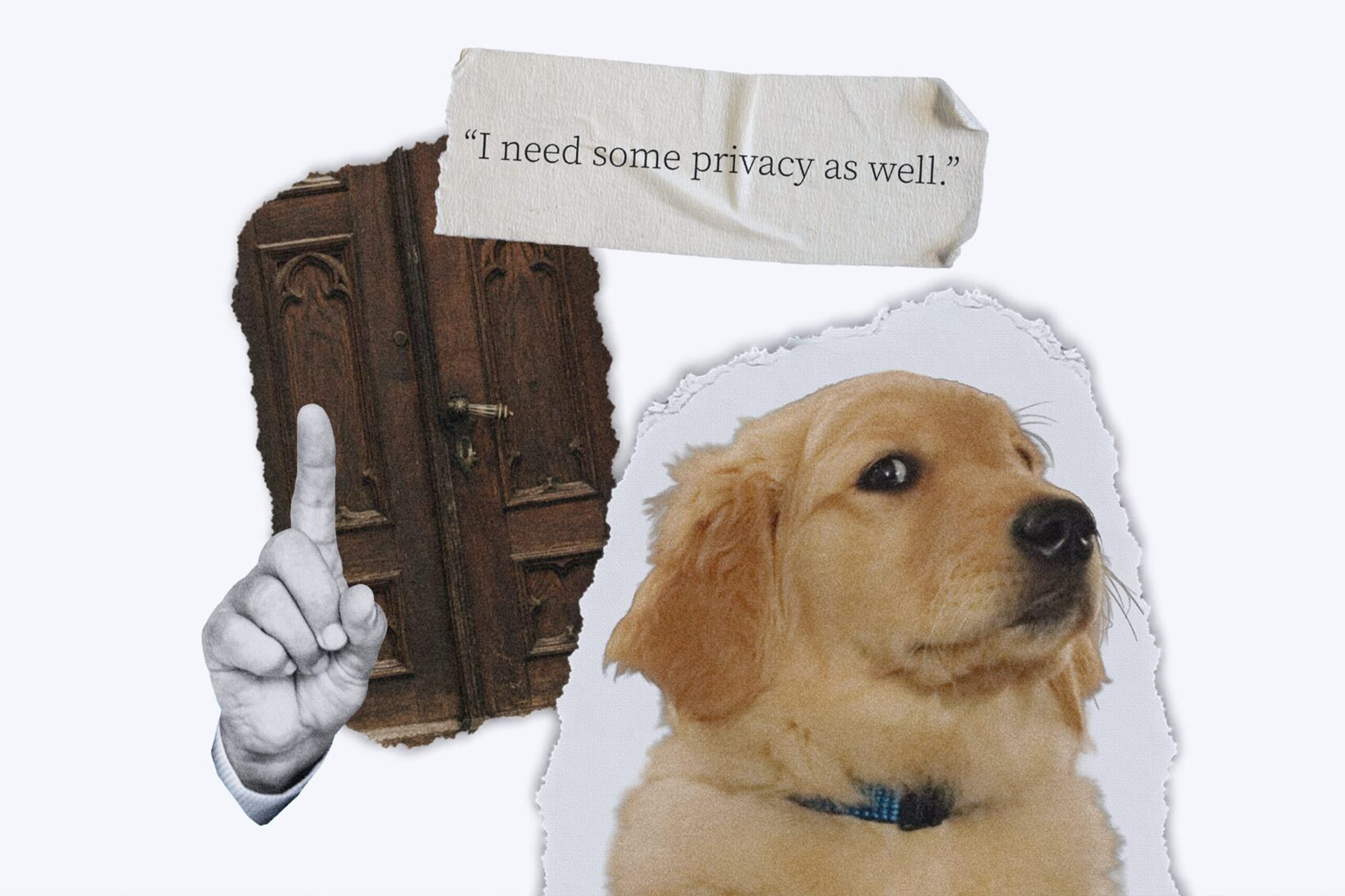 dog blog