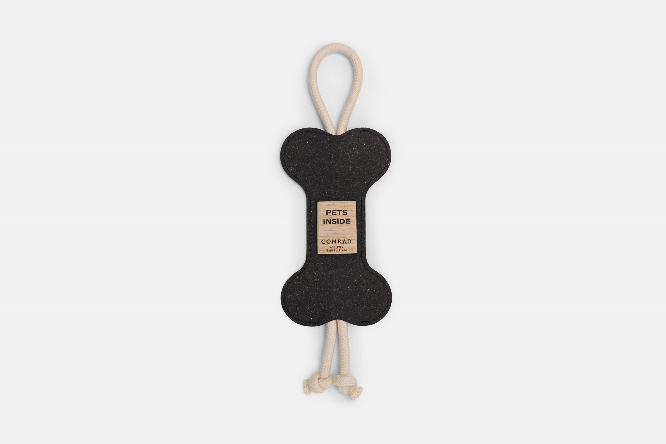 dog door hanger jpg