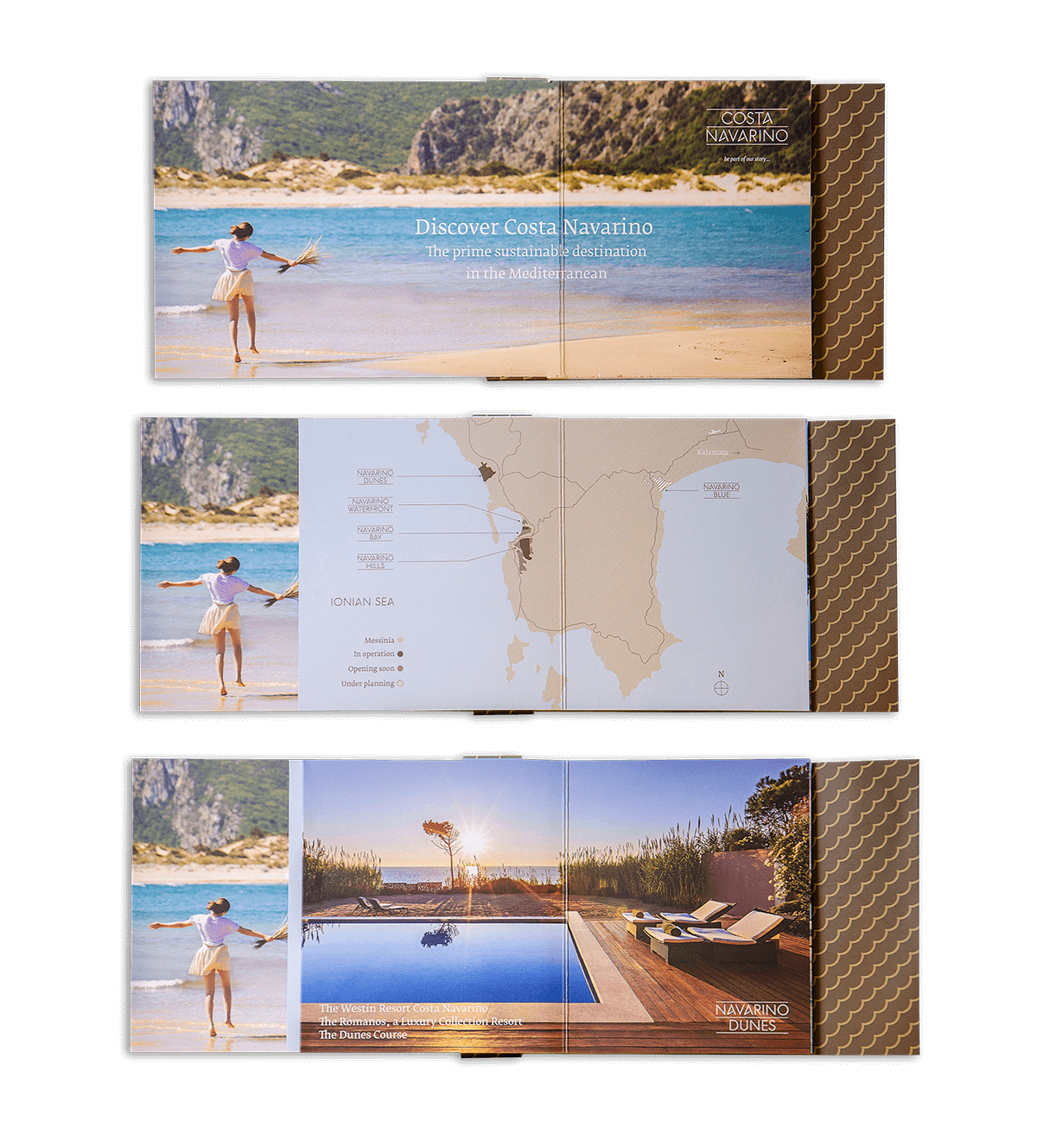 flip-card-cn-1sh