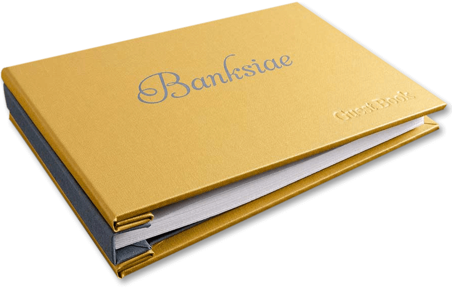 guest-folder-masterfold (1)