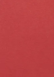 Color Plan Bright Red 5518-270