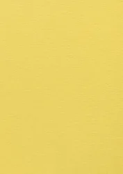 Color Plan Factory Yellow 5547-270