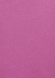 Color Plan Fuchsia Pink 5549-270