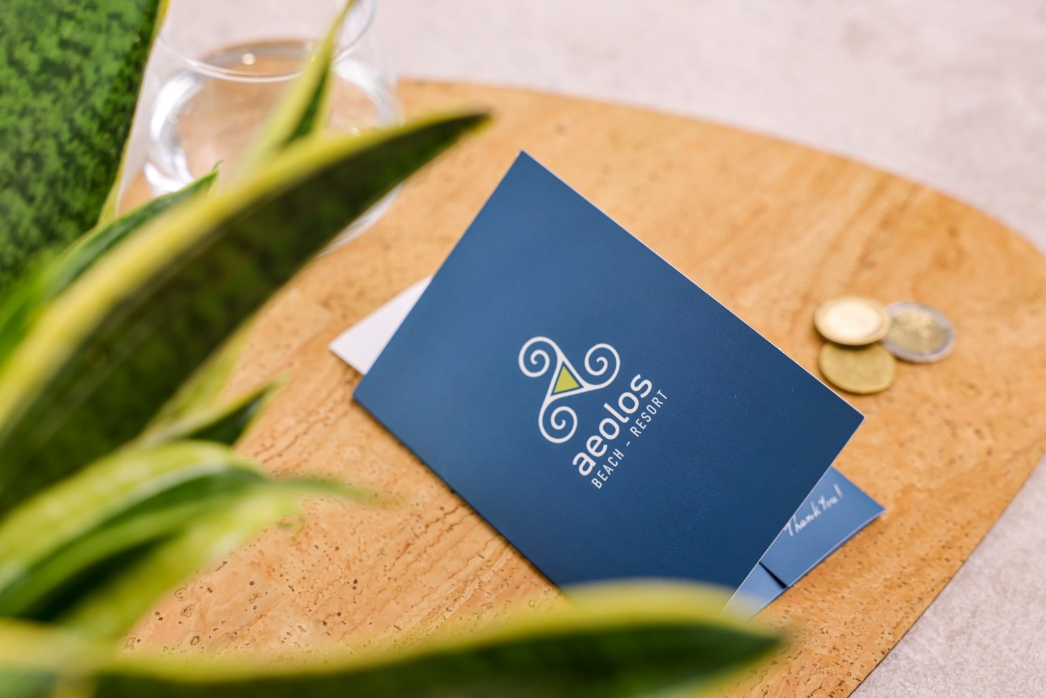 soft bill folder aeoloscorfu